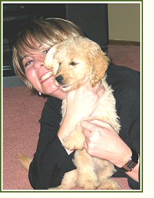 Goldendoodle and Friend