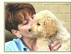 Goldendoodle and Friend