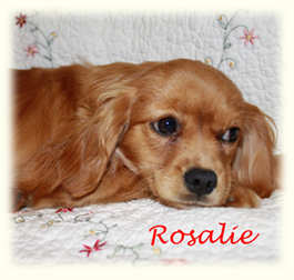 Rosalie